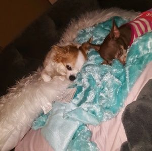 Meet your Posher, Keili